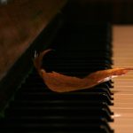 DAWを買って作曲をはじめる時にやるべきこととは？【DTM初心者】